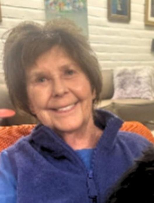 Nancy Guthrie missing person case Catalina Foothills Tucson photo