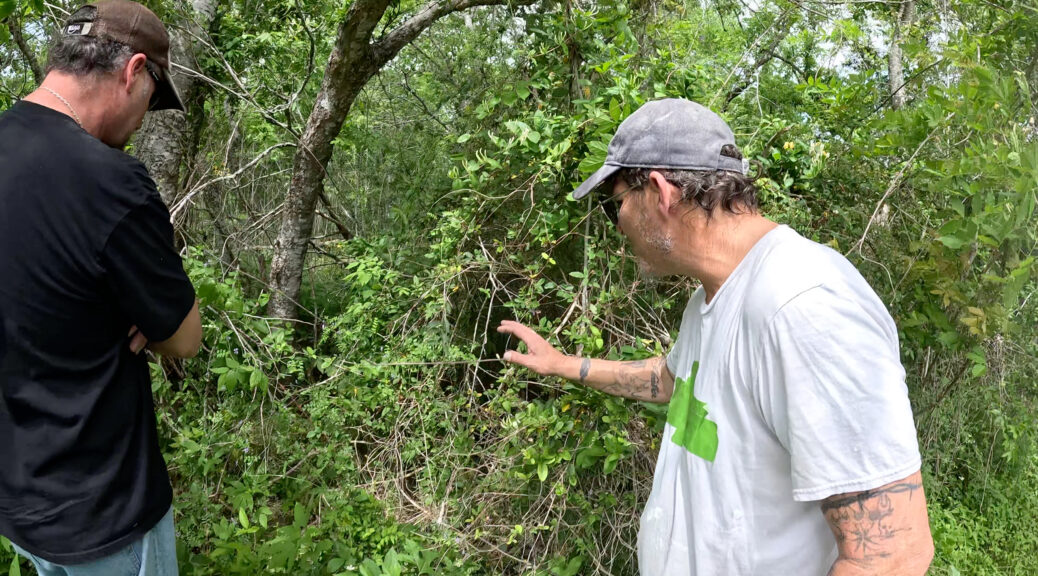 Men standing at the edge of a wooded area, looking into dense brush where investigators believe additional victims may be located in the Texas Killing Fields.