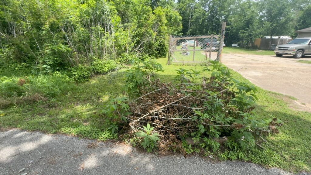 Hitchcock search Texas Killing Fields wooded property investigators searching area.