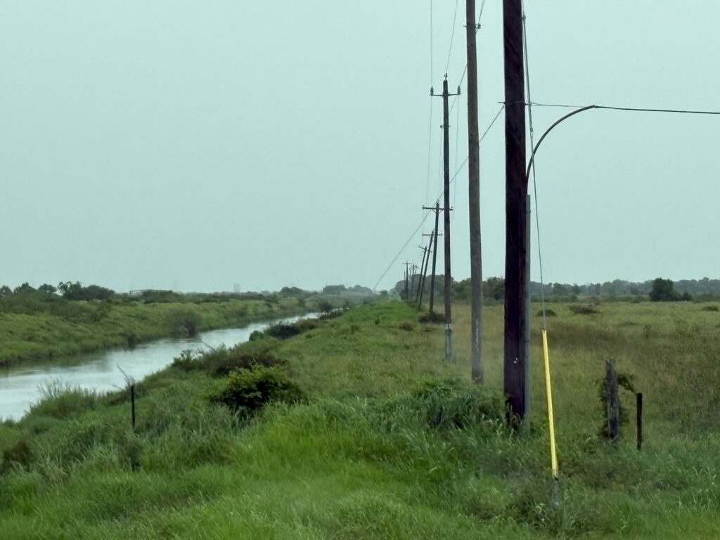 Canal and grassy search area associated with the Rebecca Beard investigation, where Paul Taylor led investigators during the search for her remains.