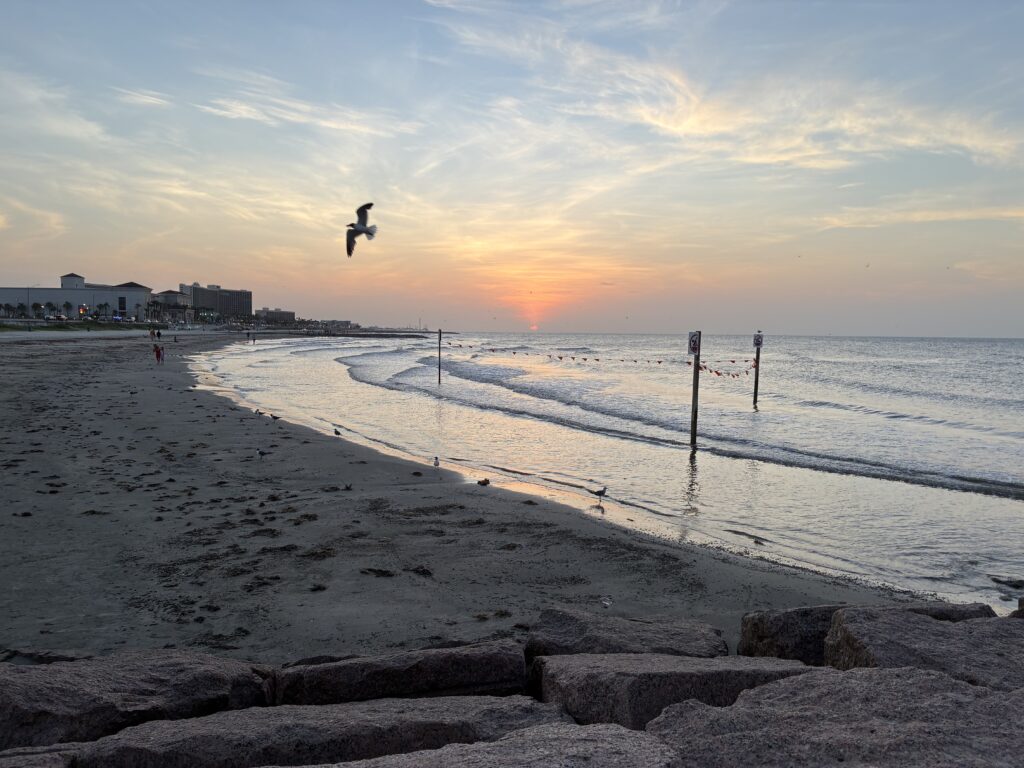 Galveston beach connected to the Rhonda Johnson and Sharon Shaw case involving Michael Lloyd Self.