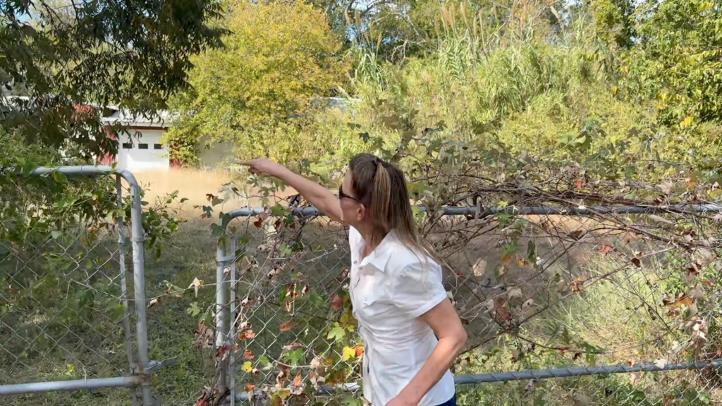 Renee points toward a wooded area behind a chain-link fence while describing how she escaped an alleged attempted abduction in 1979.